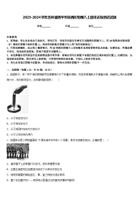 2023-2024学年吉林省四平市铁西区物理八上期末达标测试试题含答案