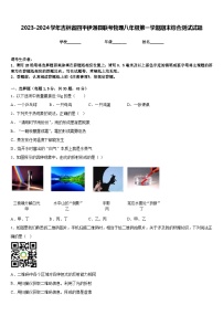 2023-2024学年吉林省四平伊通县联考物理八年级第一学期期末综合测试试题含答案