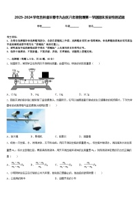 2023-2024学年吉林省长春市九台区八年级物理第一学期期末质量检测试题含答案