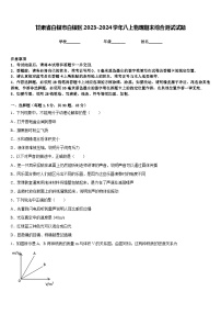 甘肃省白银市白银区2023-2024学年八上物理期末综合测试试题含答案