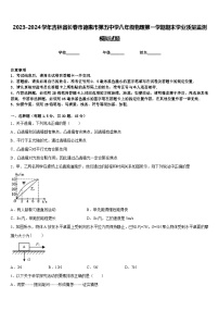 2023-2024学年吉林省长春市德惠市第五中学八年级物理第一学期期末学业质量监测模拟试题含答案