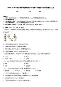 2023-2024学年吉林省靖宇县物理八年级第一学期期末复习检测模拟试题含答案