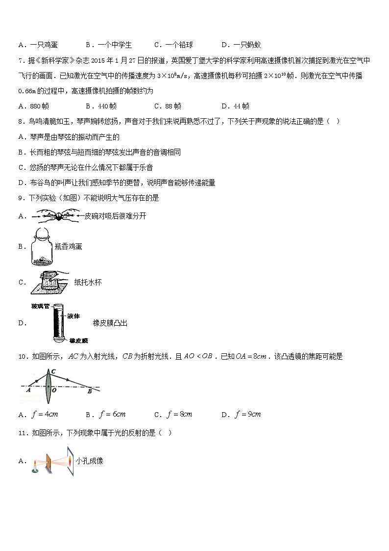 2023-2024学年吉林省长春汽车经济技术开发区物理八年级第一学期期末监测试题含答案第2页