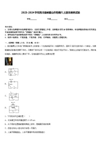 2023-2024学年四川省峨眉山市物理八上期末调研试题含答案