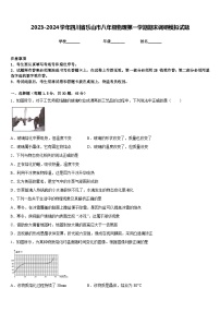 2023-2024学年四川省乐山市八年级物理第一学期期末调研模拟试题含答案