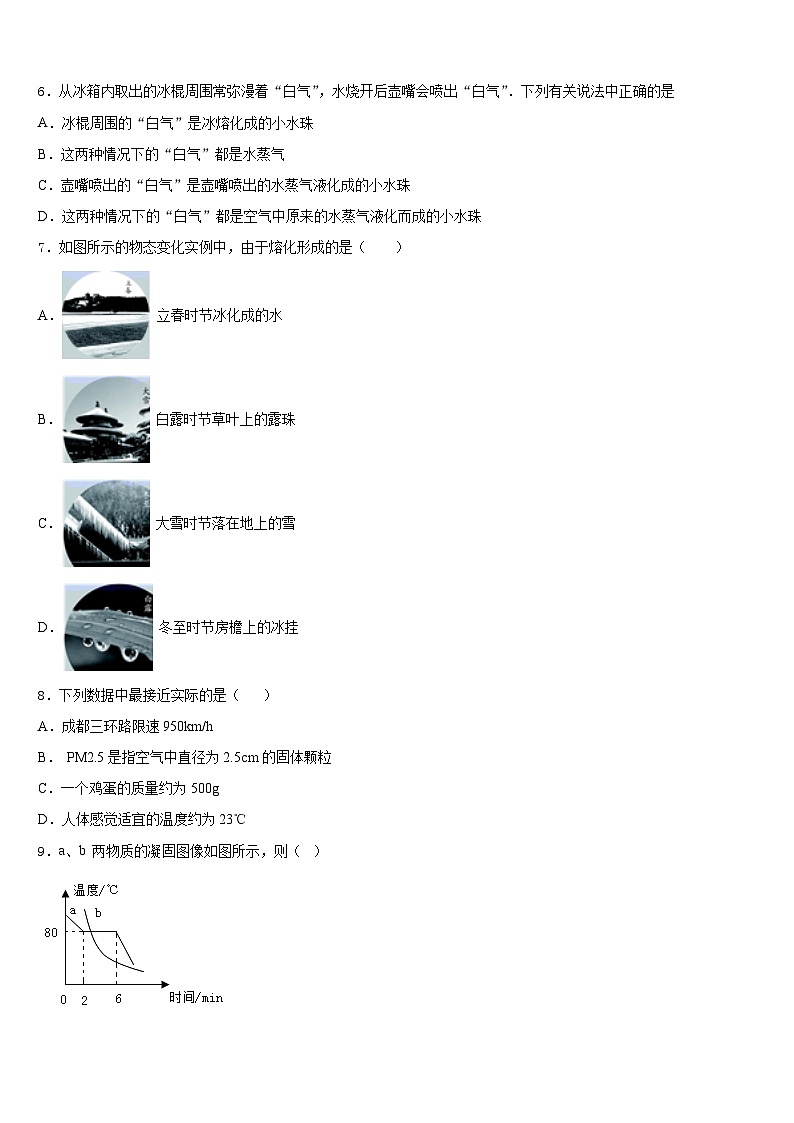 2023-2024学年四川省乐山市五中学物理八年级第一学期期末综合测试模拟试题含答案第2页