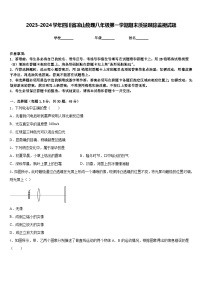 2023-2024学年四川省凉山物理八年级第一学期期末质量跟踪监视试题含答案