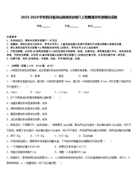 2023-2024学年四川省凉山彝族自治州八上物理期末检测模拟试题含答案