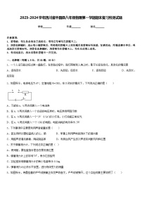 2023-2024学年四川省平昌县八年级物理第一学期期末复习检测试题含答案