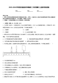 2023-2024学年四川省宜宾市翠屏区二片区物理八上期末检测试题含答案