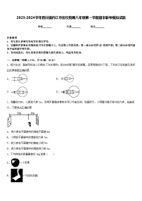 2023-2024学年四川省内江市名校物理八年级第一学期期末联考模拟试题含答案