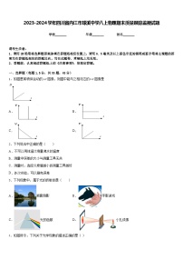 2023-2024学年四川省内江市球溪中学八上物理期末质量跟踪监视试题含答案