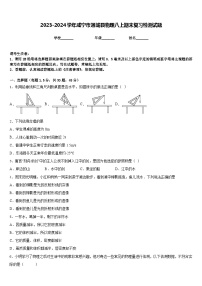 2023-2024学年咸宁市通城县物理八上期末复习检测试题含答案