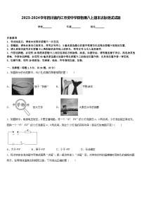 2023-2024学年四川省内江市资中学县物理八上期末达标测试试题含答案