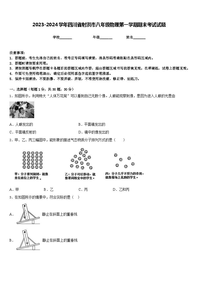 2023-2024学年四川省射洪市八年级物理第一学期期末考试试题含答案第1页
