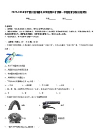 2023-2024学年四川省成都七中学物理八年级第一学期期末质量检测试题含答案