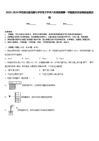 2023-2024学年四川省成都七中学育才中学八年级物理第一学期期末质量跟踪监视试题含答案