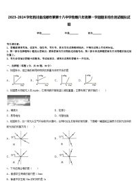 2023-2024学年四川省成都市第第十八中学物理八年级第一学期期末综合测试模拟试题含答案