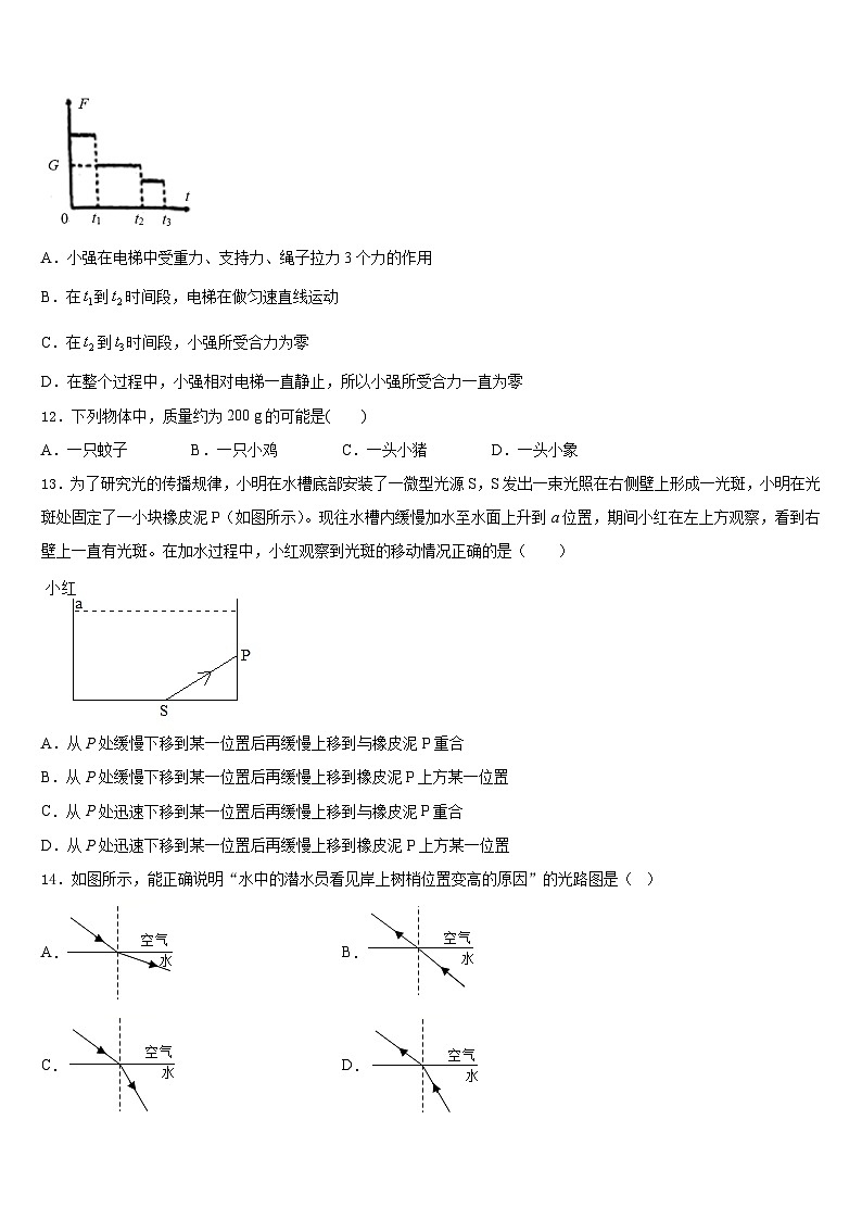 2023-2024学年四川省成都市高新南区—七级上期期物理八年级第一学期期末监测模拟试题含答案第3页