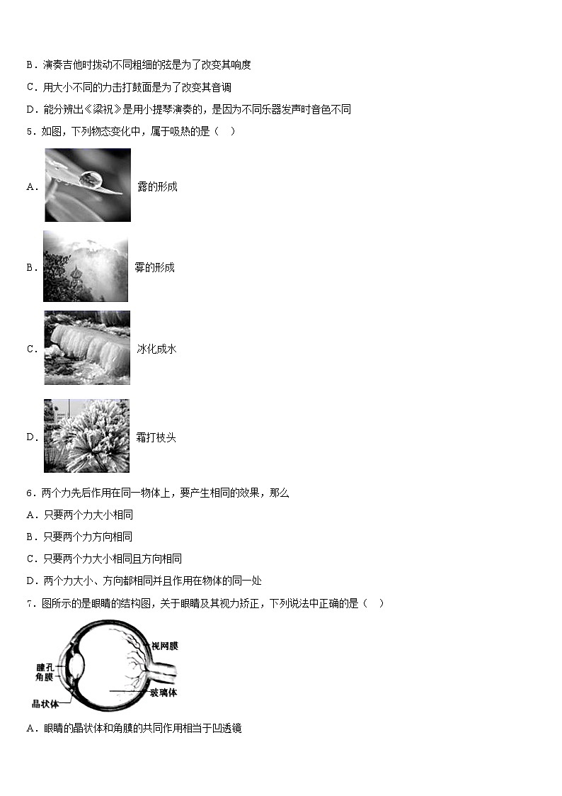 2023-2024学年四川省成都市郫都区物理八年级第一学期期末质量跟踪监视试题含答案02