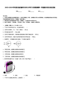 2023-2024学年四川省成都市天府七中学八年级物理第一学期期末综合测试试题含答案