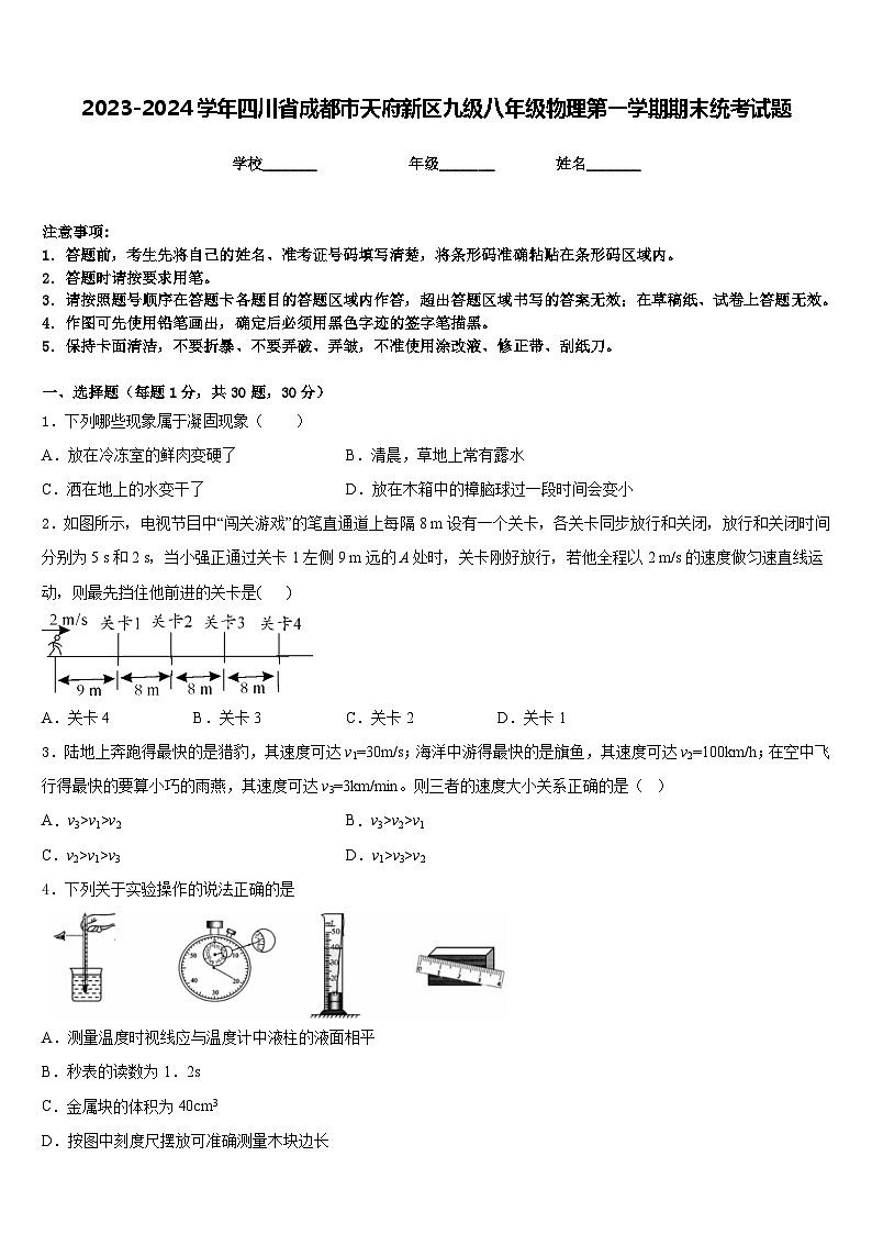 2023-2024学年四川省成都市天府新区九级八年级物理第一学期期末统考试题含答案01