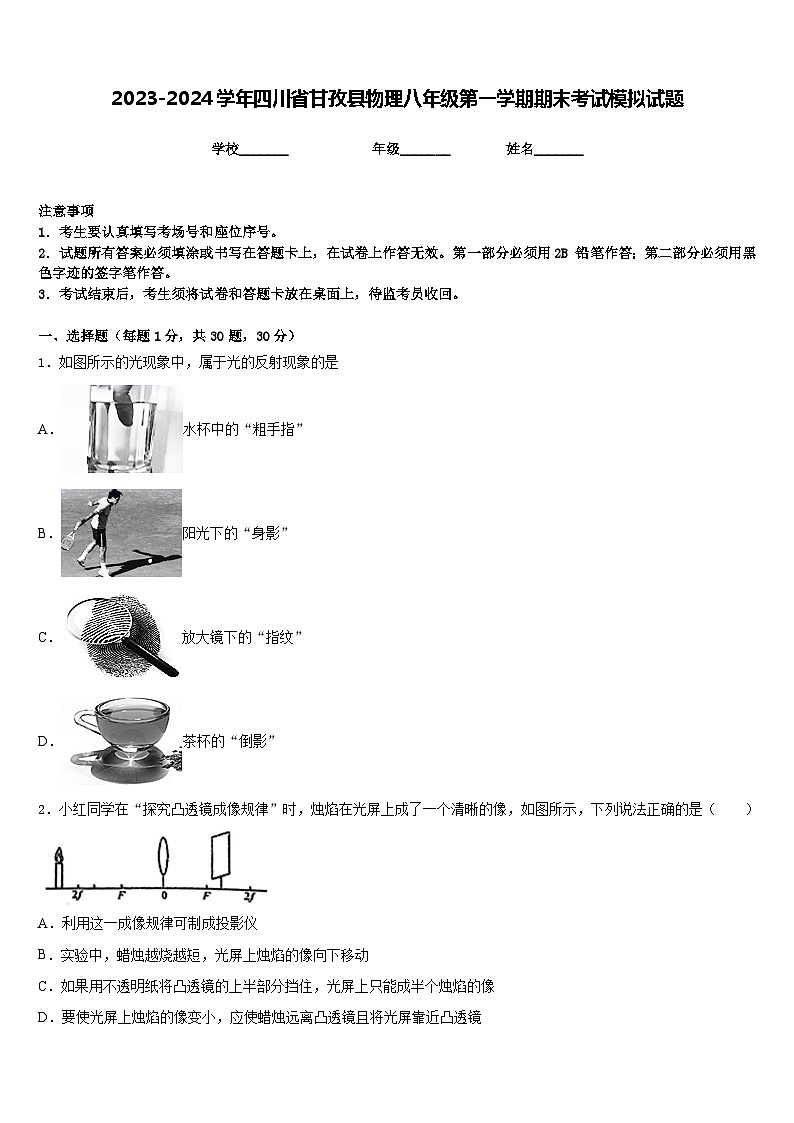 2023-2024学年四川省甘孜县物理八年级第一学期期末考试模拟试题含答案第1页
