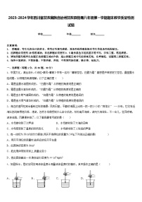 2023-2024学年四川省甘孜藏族自治州甘孜县物理八年级第一学期期末教学质量检测试题含答案