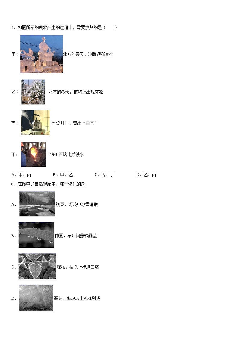2023-2024学年四川省甘孜藏族自治州甘孜县物理八年级第一学期期末教学质量检测试题含答案第2页