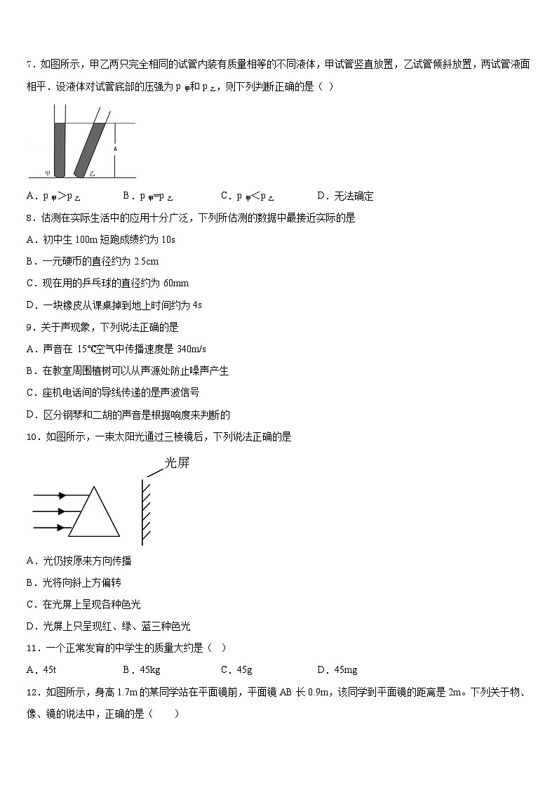 2023-2024学年四川省甘孜藏族自治州甘孜县物理八年级第一学期期末教学质量检测试题含答案第3页