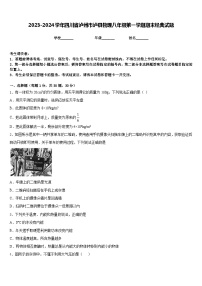 2023-2024学年四川省泸州市泸县物理八年级第一学期期末经典试题含答案