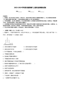 2023-2024学年四川省物理八上期末监测模拟试题含答案