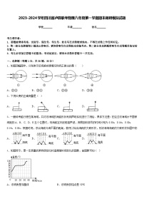 2023-2024学年四川省泸县联考物理八年级第一学期期末调研模拟试题含答案