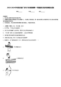 2023-2024学年四川省广安市八年级物理第一学期期末质量检测模拟试题含答案