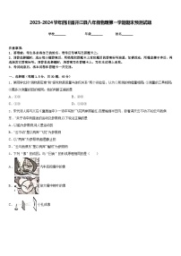 2023-2024学年四川省开江县八年级物理第一学期期末预测试题含答案