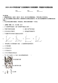 2023-2024学年四川省广元苍溪县联考八年级物理第一学期期末考试模拟试题含答案