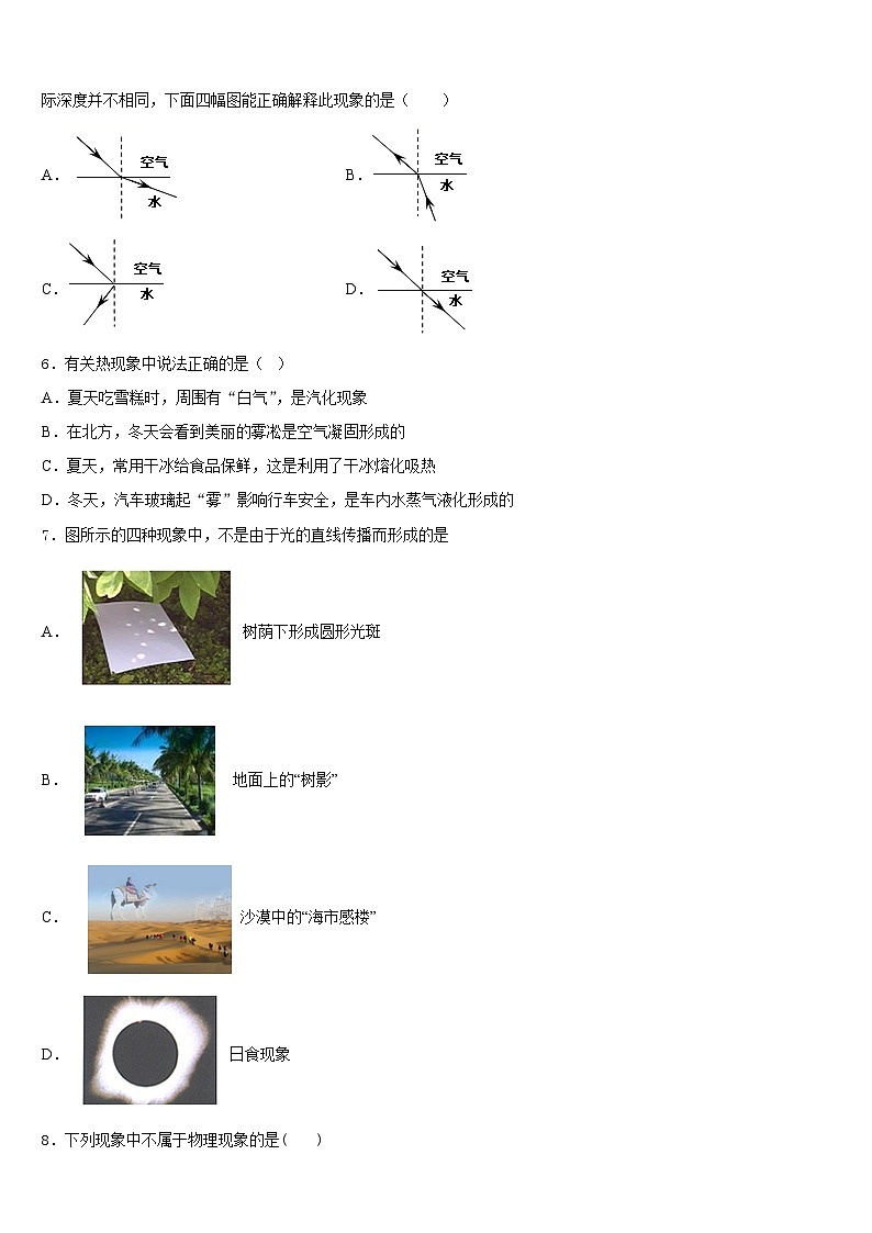 2023-2024学年四川省广安市岳池县物理八年级第一学期期末教学质量检测试题含答案第2页
