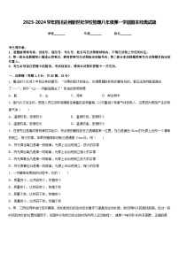 2023-2024学年四川达州新世纪学校物理八年级第一学期期末经典试题含答案