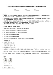 2023-2024学年四川省简阳市养马区物理八上期末复习检测模拟试题含答案