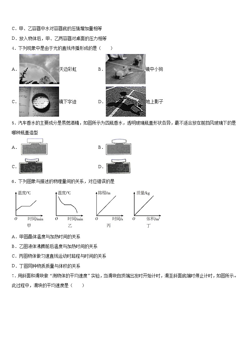 2023-2024学年四川省简阳市养马区物理八上期末复习检测模拟试题含答案第2页