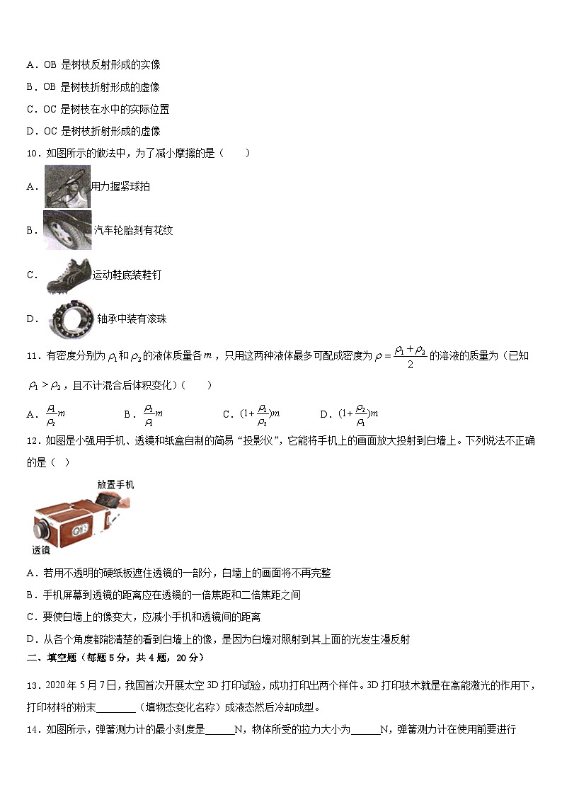 2023-2024学年四川省绵阳富乐园际学校八年级物理第一学期期末教学质量检测模拟试题含答案第3页