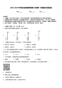 2023-2024学年四川省青神县物理八年级第一学期期末经典试题含答案