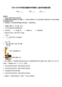 2023-2024学年四川省雅安中学物理八上期末考试模拟试题含答案