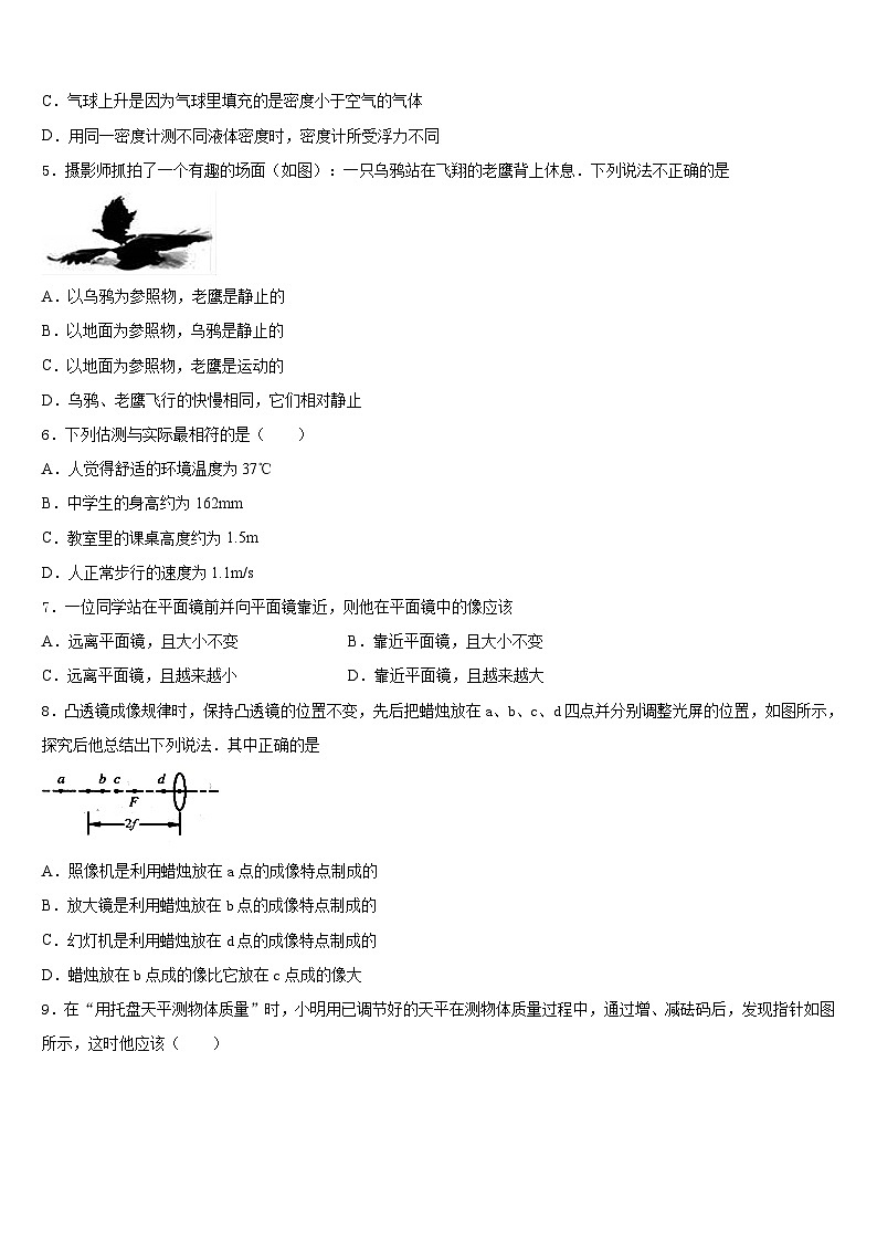 2023-2024学年四川营山小桥中学物理八年级第一学期期末质量跟踪监视模拟试题含答案02