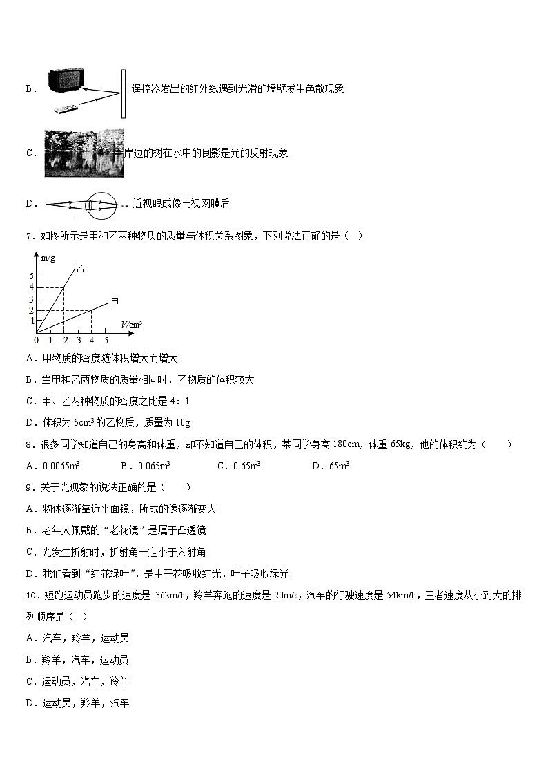 2023-2024学年四川省资阳市雁江区临丰祥片区八上物理期末经典模拟试题含答案第3页
