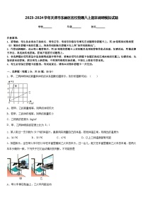 2023-2024学年天津市东丽区名校物理八上期末调研模拟试题含答案