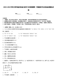 2023-2024学年天津市南开区南大附中八年级物理第一学期期末学业质量监测模拟试题含答案