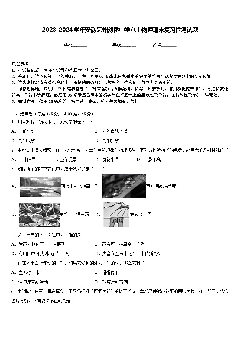 2023-2024学年安徽亳州刘桥中学八上物理期末复习检测试题含答案01