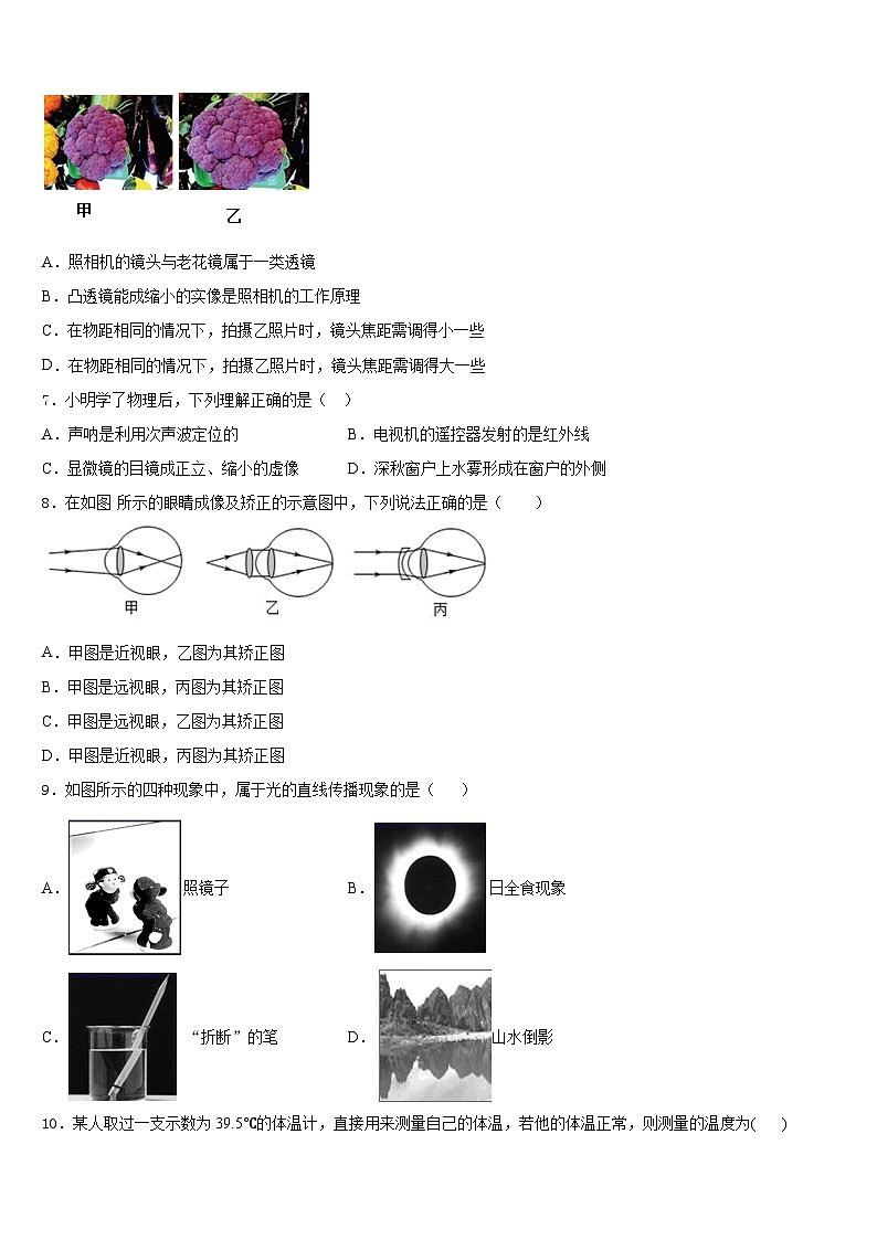 2023-2024学年安徽亳州刘桥中学八上物理期末复习检测试题含答案02