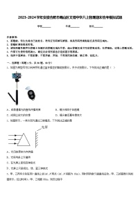 2023-2024学年安徽合肥市蜀山区文博中学八上物理期末统考模拟试题含答案